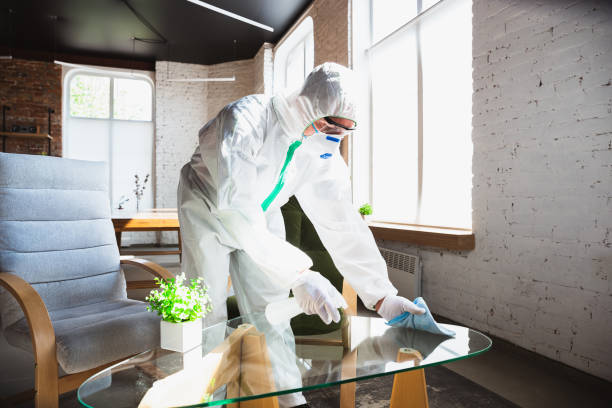 Best Mold Remediation for Healthcare Facilities in Panguitch, UT